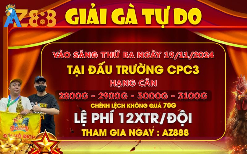 Thông Báo Giải Gà Tự Do Tại CPC3 Ngày 19/11/2024